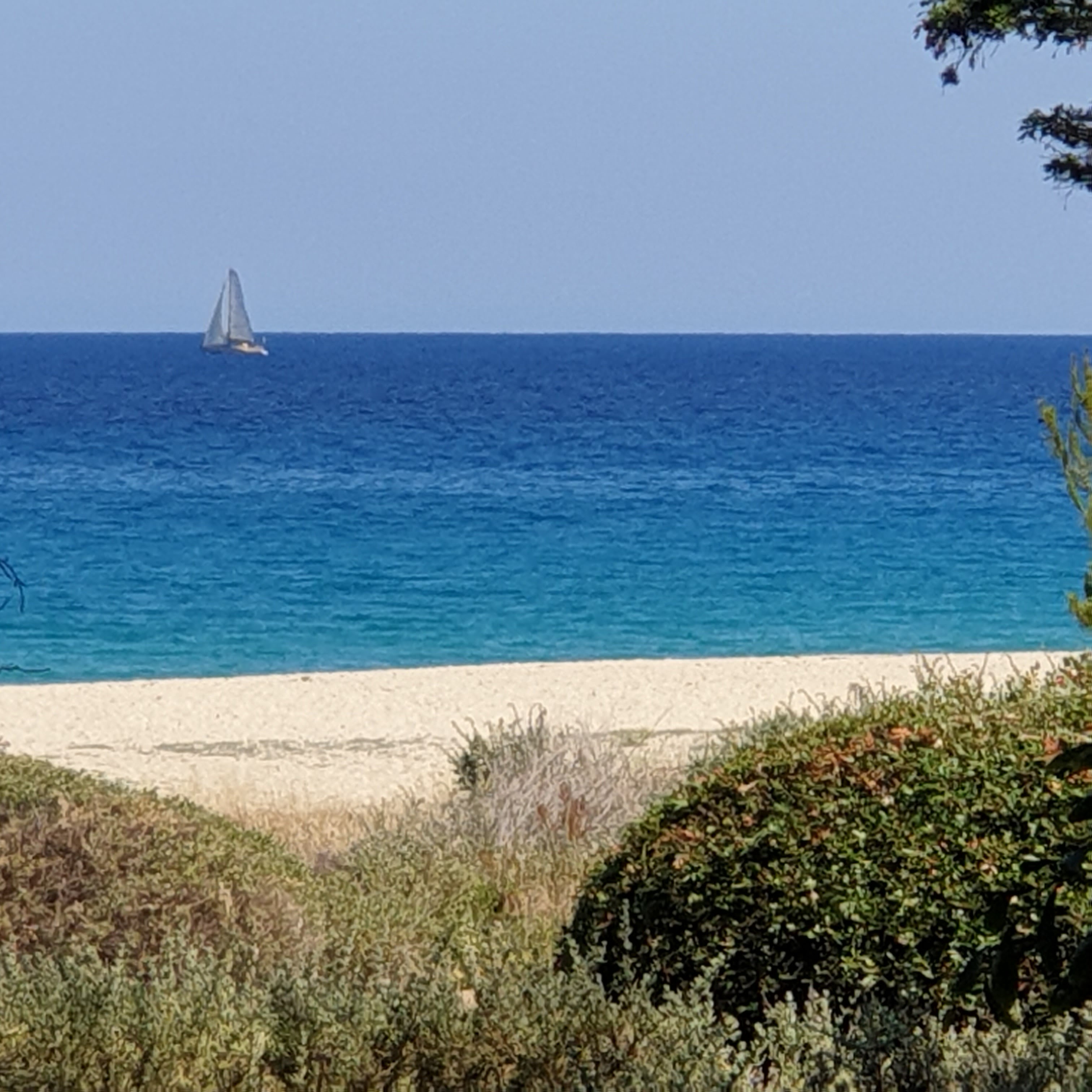 Photo n° 6 de l'avis de martine.o fait le 19/06/2023 à 21:08