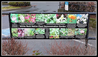 White Rock Native Plant Demonstration Garden