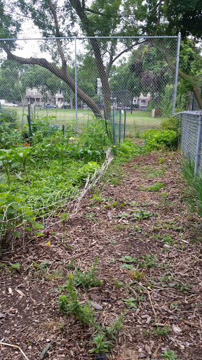 Park «Raymond Park», reviews and photos, Raymond St, Cambridge, MA 02140, USA