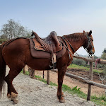 Photo n°1 de l'avis de Erika.a fait le 21/02/2021 à 21:44 sur le  Agriturismo Scuderia Castello à Toscolano Maderno