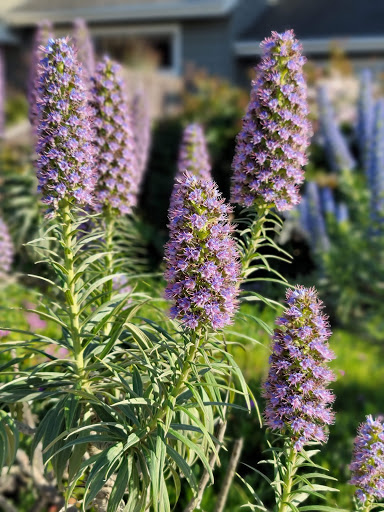 Gym «Harbor Bay Club», reviews and photos, 200 Packet Landing Rd, Alameda, CA 94502, USA