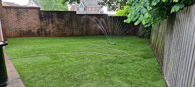 Comments and reviews of Raycox Turf Ltd