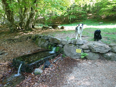 Fontaine de Brameloup à Prades-d'Aubrac
