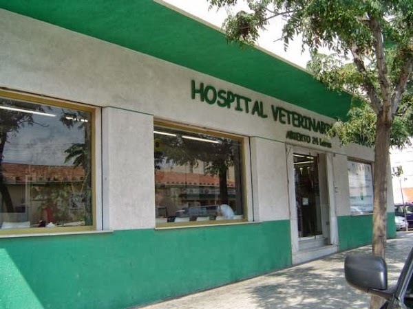 Centro Veterinario J.G.