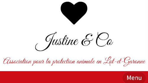 Association Justine & Co Protection animale en Lot et Garonne à Colayrac-Saint-Cirq