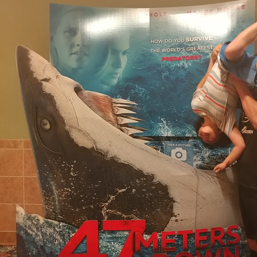 Movie Theater «Cobb Theatres Hollywood 16 & IMAX», reviews and photos, 4250 Old Greensboro Rd, Tuscaloosa, AL 35405, USA