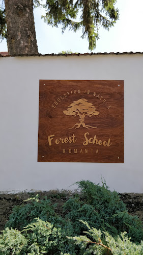 Forest School Romania - <nil>