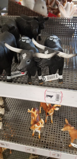 Home Improvement Store «Tractor Supply Co.», reviews and photos, 6365 Brockport Spencerport Rd, Brockport, NY 14420, USA