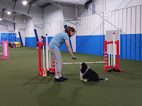 Ann Arbor Dog Training Club - Photo 2 - Car repair in Whitmore Lake, MI, South Lyon