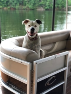 Roofing Contractor «Roofing Resources of Georgia, LLC», reviews and photos, 125 Ethan Allen Dr, Dahlonega, GA 30533, USA