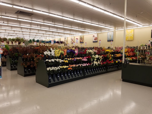 Craft Store «Hobby Lobby», reviews and photos, 1000 Immokalee Rd #30, Naples, FL 34110, USA