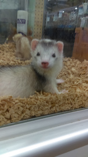 Pet Supply Store «Pet Supplies Plus», reviews and photos, 768 S Jefferson Ave c, Cookeville, TN 38501, USA