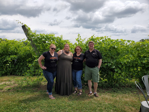 Vineyard «3 North Vines», reviews and photos, 5940 Peck Rd, Croswell, MI 48422, USA