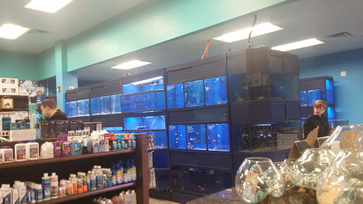 Tropical Fish Store «Aquatic Wildlife Co», reviews and photos, 70 Buckland Rd, South Windsor, CT 06074, USA