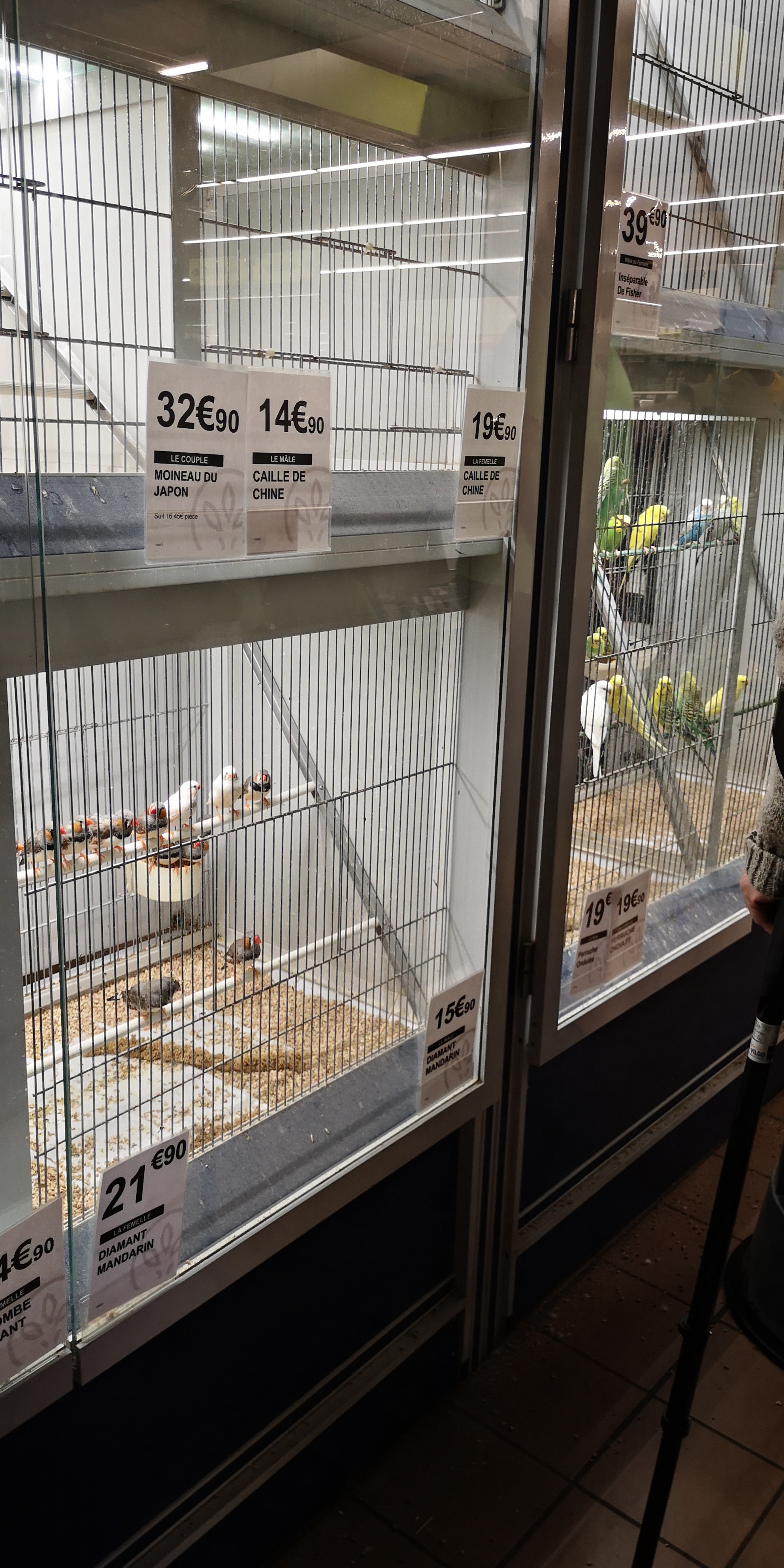 Photo n° 8 de l'avis de Mon.o fait le 31/05/2019 à 16:17