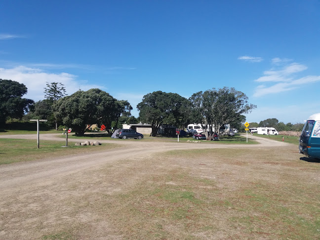 DOC campsite - Tauranga