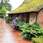 Photo n°2 de l'avis de Angela.r fait le 10/07/2022 à 19:06 sur le  Fährkroog Dreibergen à Bad Zwischenahn