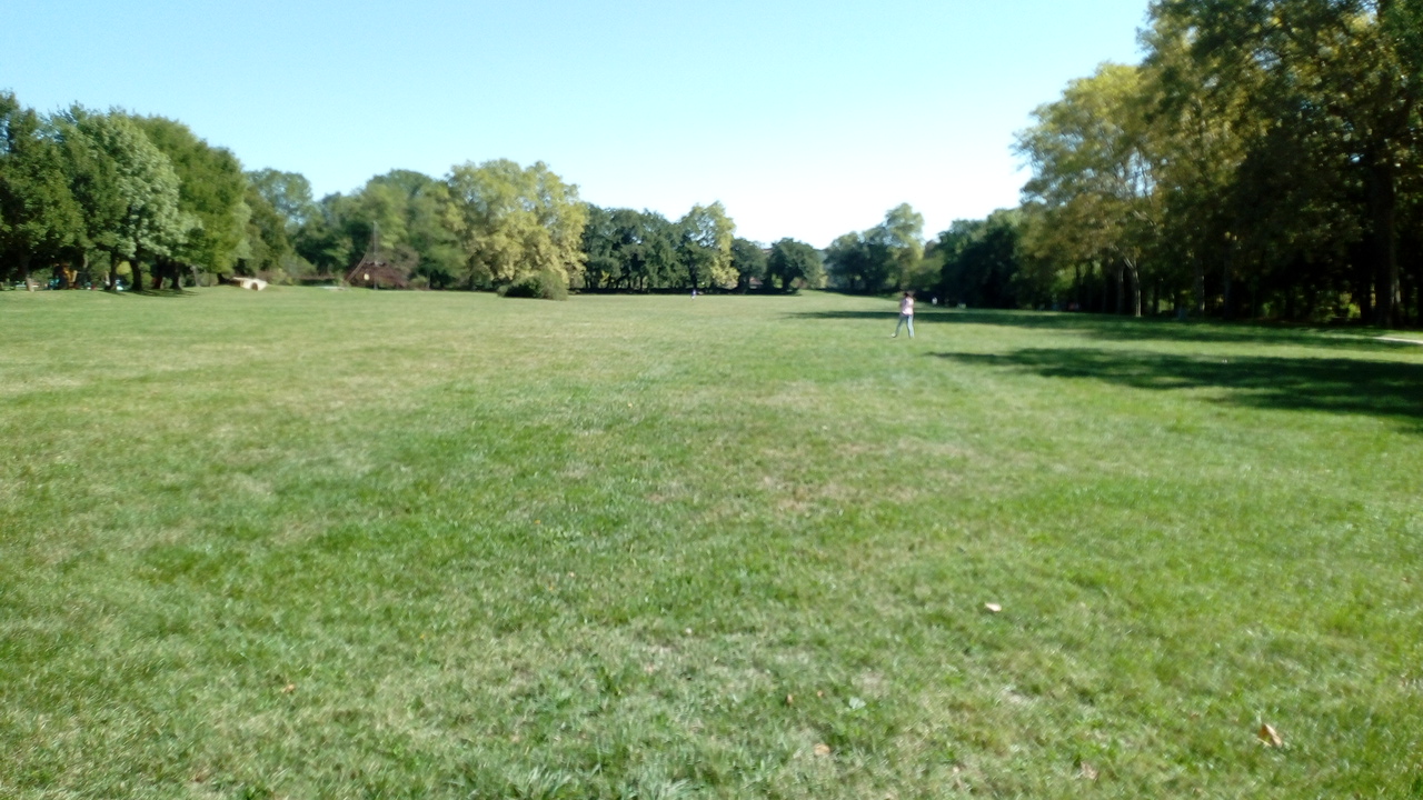 Photo n° 47 de l'avis de Delbart.e fait le 29/09/2019 à 12:17