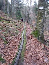 Photo n°13 de Fontaine Lucie à Ottrott ()