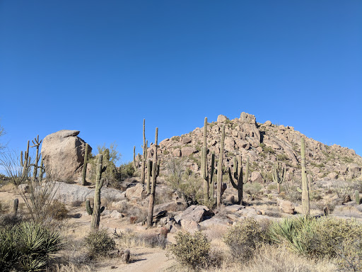 Park «Turtle Rock Park», reviews and photos, 17414 N 12th St, Phoenix, AZ 85022, USA