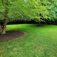 StumpBoys - Photo 5 - Car repair in Hurdle Mills, NC, Durham