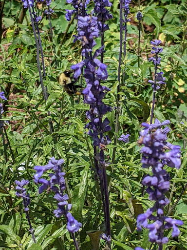 Museum «Barrington Hall», reviews and photos, 535 Barrington Dr, Roswell, GA 30075, USA