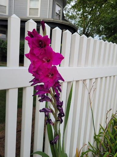 Grocery Store «Whole Foods Market», reviews and photos, 647 Washington St, Newton, MA 02458, USA