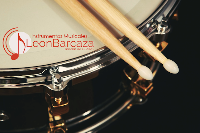 Instrumentos Musicales Leon Barcaza