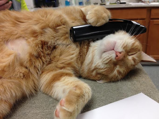 6799 US-40, Lewisburg, OH 45338, USA