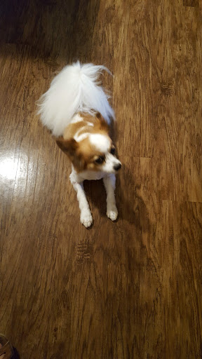 Pet Supply Store «Petco Animal Supplies», reviews and photos, 4540 Princess Anne Rd #128, Virginia Beach, VA 23462, USA