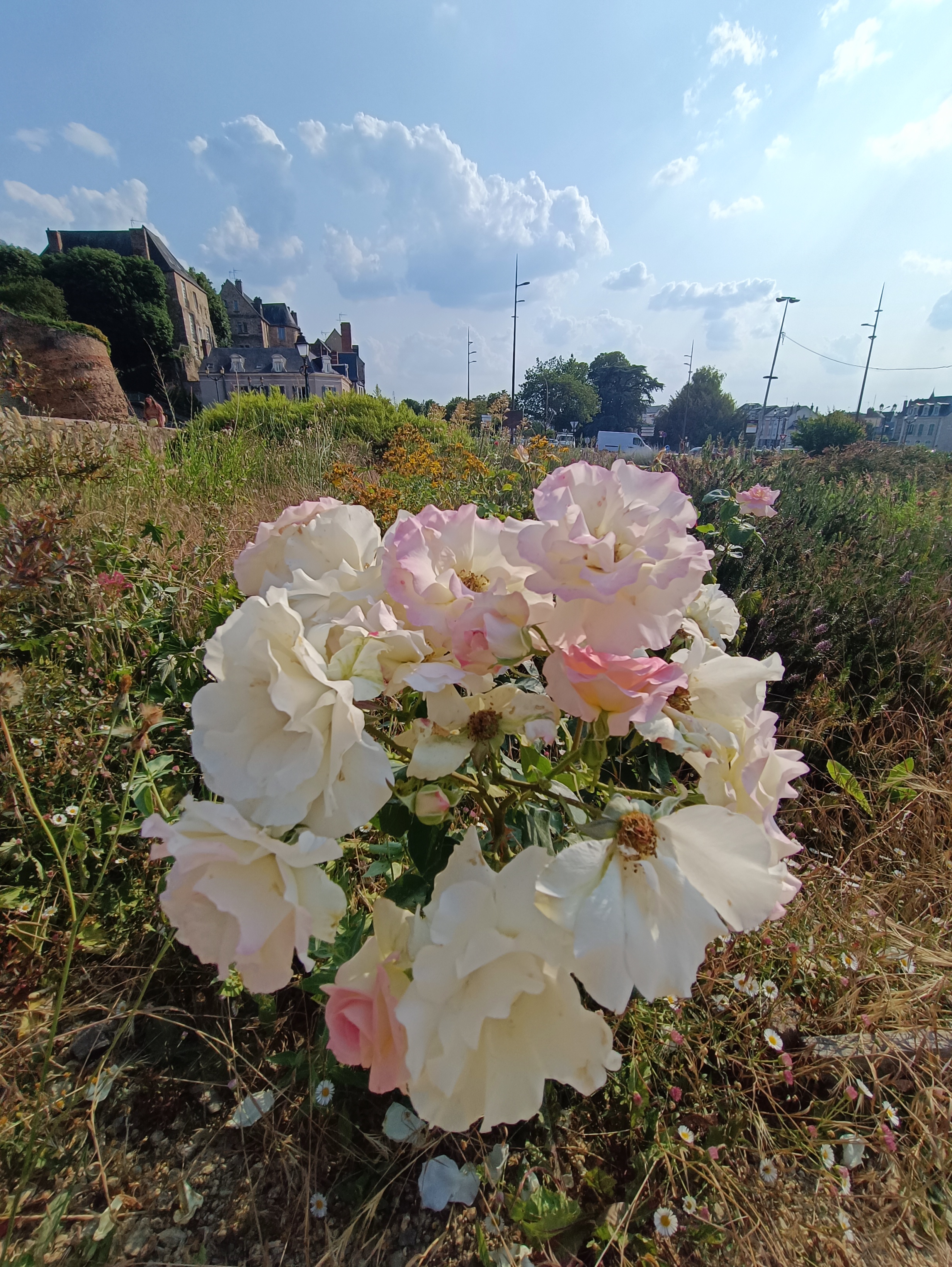 Photo n° 2 de l'avis de A.o fait le 08/07/2023 à 05:02