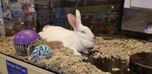 Pet Supply Store «PetSmart», reviews and photos, 13600 Baltimore Ave, Laurel, MD 20707, USA