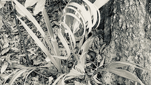 Thrift Store «Goodwill», reviews and photos, 3121 College Dr # B, Baton Rouge, LA 70808, USA