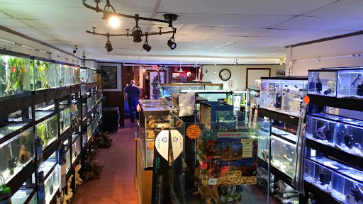 Tropical Fish Store «Aquastetics», reviews and photos, 354 E Main St, Fall River, MA 02724, USA