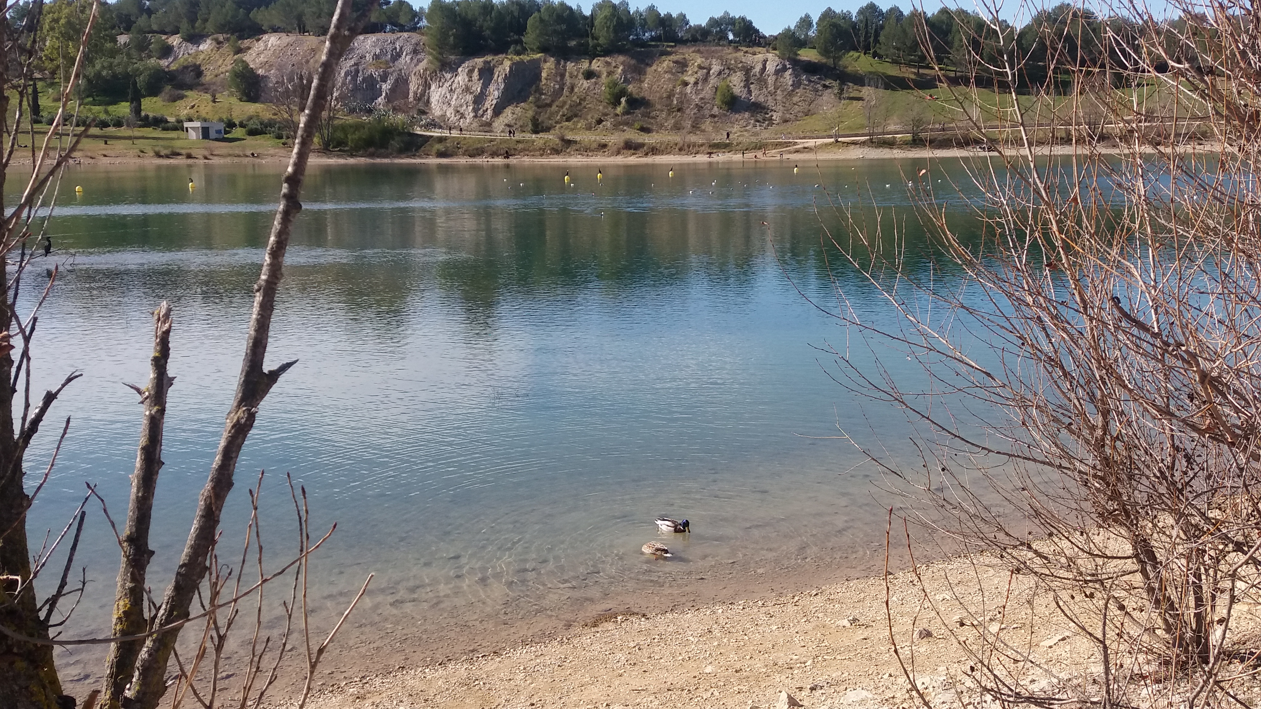 Photo n° 4 de l'avis de Gennadiy.u fait le 03/03/2019 à 14:52