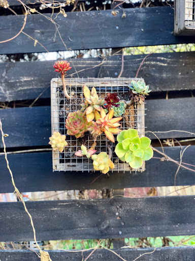 Coffee Shop «Devout Coffee», reviews and photos, 37323 Niles Blvd, Fremont, CA 94536, USA