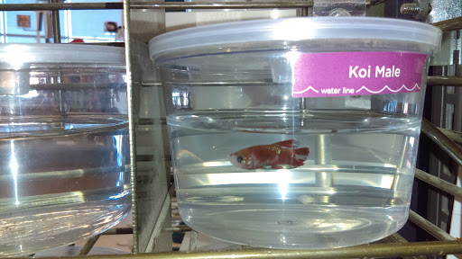 Pet Supply Store «Petco Animal Supplies», reviews and photos, 4012 W 27th Ave, Kennewick, WA 99337, USA