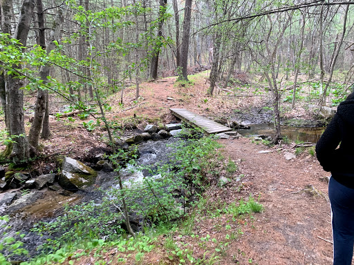Bill Edge/Deep Brook Reservation