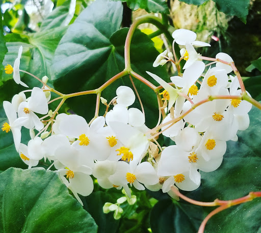 Natural History Museum «Florida Museum of Natural History», reviews and photos, 3215 Hull Rd, Gainesville, FL 32611, USA