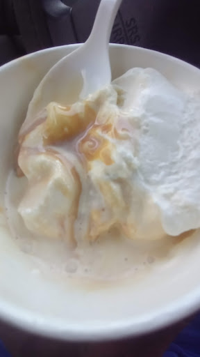 Ice Cream Shop «Oberweis Ice Cream and Dairy Store», reviews and photos, 3152 95th St, Evergreen Park, IL 60805, USA