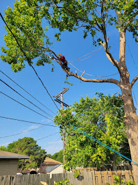 klutmans lawn and tree care