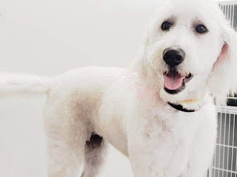 Life is Ruff without a Groomer, Pet Salon