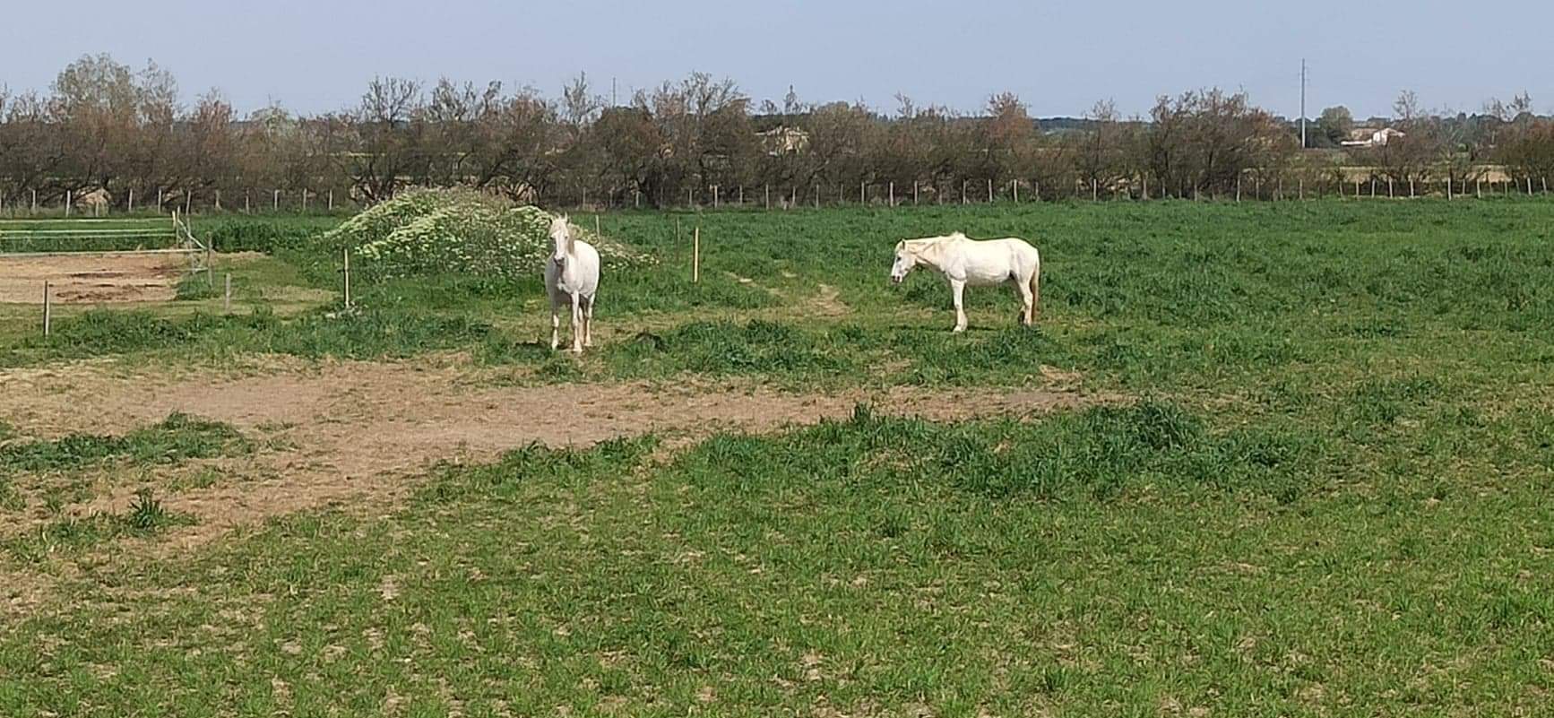 Photo n° 1 de l'avis de Coralie.a fait le 15/04/2022 à 15:50