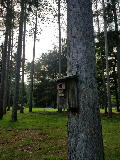 Golf Club «Bowling Green Golf Club», reviews and photos, 53 School House Rd, Oak Ridge, NJ 07438, USA