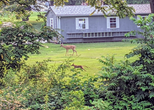 Golf Club «Jeffersonville Golf Club», reviews and photos, 2400 W Main St, Norristown, PA 19403, USA