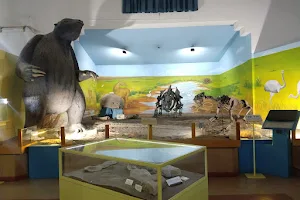 Museo Municipal De Ciencias Naturales Carlos Darwin image