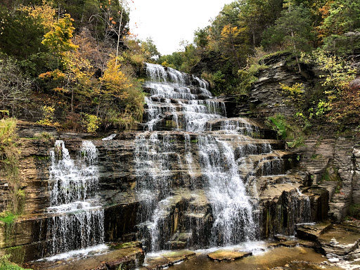 Tour Agency «Experience! The Finger Lakes», reviews and photos, 501 Warren Rd, Ithaca, NY 14850, USA