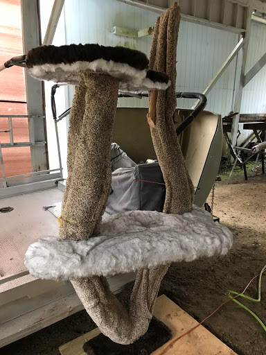 Pet Store «South Salem Pet Supply», reviews and photos, 4695 Commercial St SE, Salem, OR 97302, USA