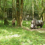 Photo n° 13 de l'avis de Renatinha.i fait le 21/08/2019 à 08:36 pour Préhisto Parc à Tursac