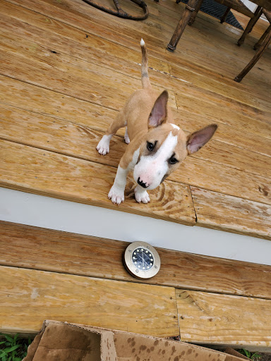 Pet Supply Store «PetSmart», reviews and photos, 1232 Hooper Ave, Toms River, NJ 08753, USA